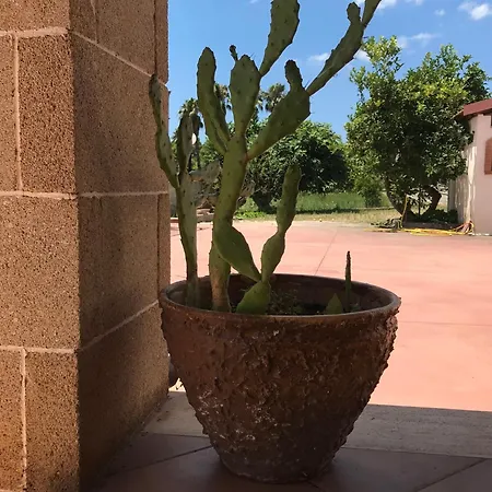 Sunset Lovers In A 300mt Dal Mare Appartement *