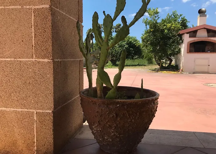 Sunset Lovers In A 300mt Dal Mare Appartement *